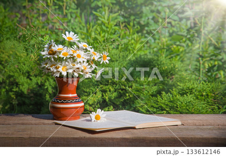 Camomiles in the vase and book 133612146