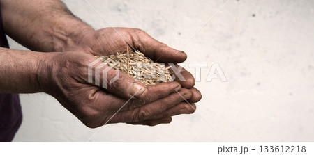 Old hands with wheats 133612218