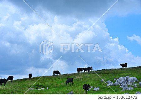 四国カルスト 133612472