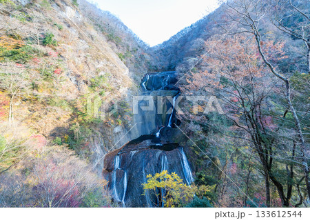 袋田の滝 袋田の滝 133612544
