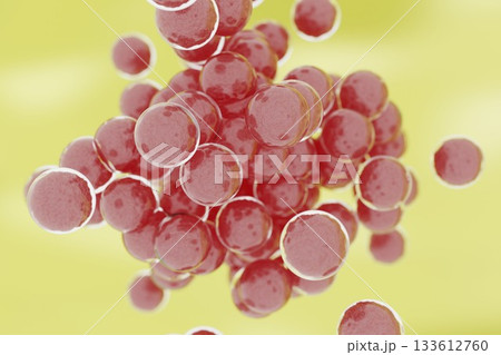 繁殖する球菌のイメージ 133612760