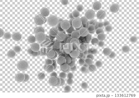 繁殖する球菌のイメージ 133612769
