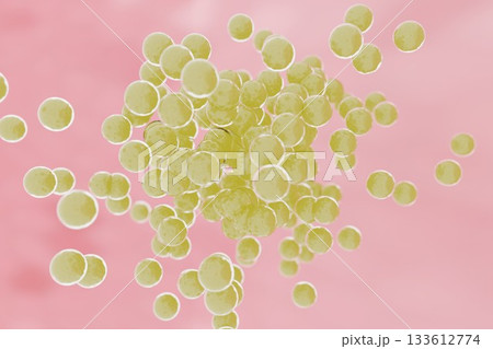 繁殖する球菌のイメージ 133612774