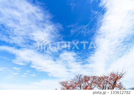 秋空と雲と木立 秋空と雲と木立 133612782