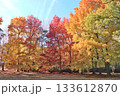 紅葉に染まる憩いの場 133612870