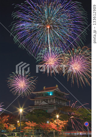 びわ湖秋花火 琵琶湖文化館 133612989