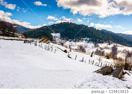 snow covered winter landscape of carpathian mountains. scenic view of countryside landscape with forested hills. fields on slopes on a sunny morning. rural life in uzhok village of ukraine snow covered winter landscape of carpathian mountains. scenic view of countryside landscape with forested hills. fields on slopes on a sunny morning. rural life in uzhok village of ukraine 133613015