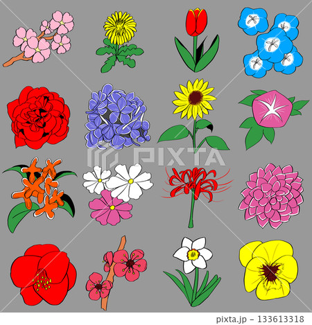いろいろな花のイラストセット いろいろな花のイラストセット 133613318