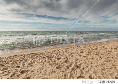 Zelenogradsk, Curonian Spit National Park. Sand dunes on the shore of the Baltic Sea Zelenogradsk, Curonian Spit National Park. Sand dunes on the shore of the Baltic Sea 133614289