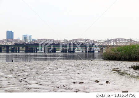 淀川河川公園から望む阪急電車（大阪府大阪市淀川区） 133614750