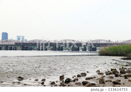 淀川河川公園から望む阪急電車（大阪府大阪市淀川区） 133614755