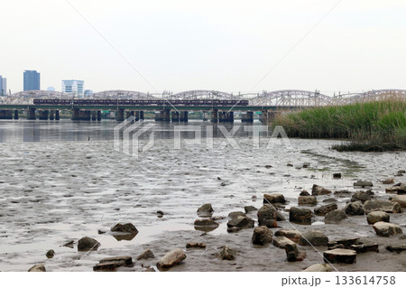 淀川河川公園から望む阪急電車（大阪府大阪市淀川区） 133614758