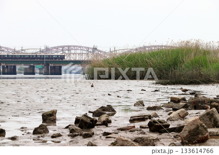 淀川河川公園から望む阪急電車（大阪府大阪市淀川区） 133614766