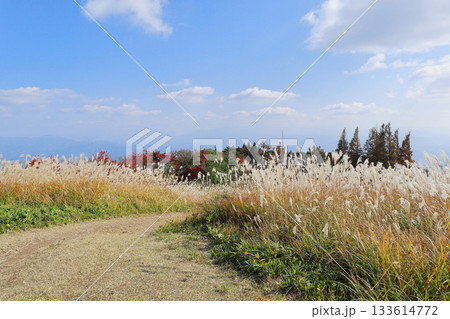 大和葛城山・葛城高原の風景 大和葛城山・葛城高原の風景 133614772