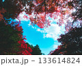 ハートマークの空と紅葉 133614824