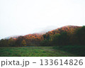 霧に包まれる紅葉の山 133614826