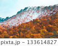 真っ赤な紅葉に雪が降る山 133614827