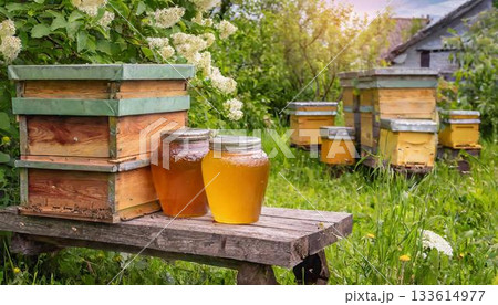 the beekeeper works at the apiary 133614977