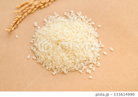 新米のコシヒカリ 133614990