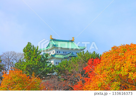 愛知県名古屋市、秋の名古屋城の風景 愛知県名古屋市、秋の名古屋城の風景 133616373