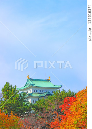 愛知県名古屋市、秋の名古屋城の風景 愛知県名古屋市、秋の名古屋城の風景 133616374