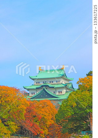愛知県名古屋市、秋の名古屋城の風景 愛知県名古屋市、秋の名古屋城の風景 133617225