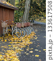 Vintage bicycles lined up near a wooden shed, surrounded by autumn leaves in a park. 133617508