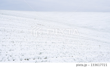 Snowy curved hillside with clean winter textures and soft natural light Snowy curved hillside with clean winter textures and soft natural light 133617721