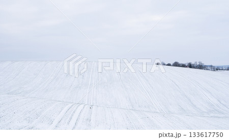 Snow-covered agricultural hills under cloudy winter sky in rural landscape 133617750