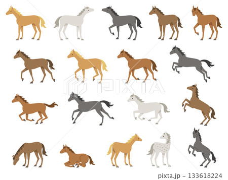 色々な毛色の馬のイラストセット 133618224