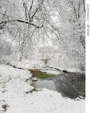 it is snowing heavily in the park, large flakes of snow are slowly falling on tree branches, no people, nobody it is snowing heavily in the park, large flakes of snow are slowly falling on tree branches, no people, nobody 133618247