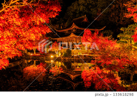 岐阜県虎渓山永保寺もみじライトアップ風景 133618298