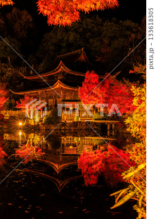 岐阜県虎渓山永保寺もみじライトアップ風景 133618305