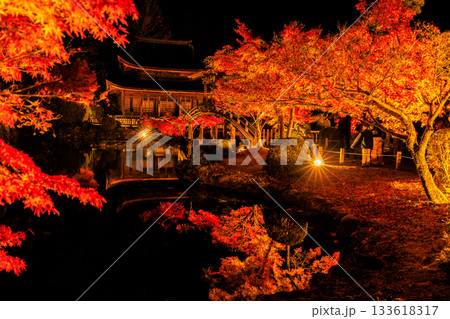岐阜県虎渓山永保寺もみじライトアップ風景 133618317