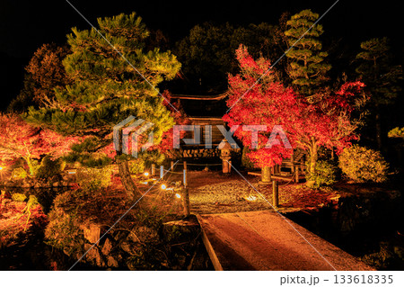 岐阜県虎渓山永保寺もみじライトアップ風景 133618335