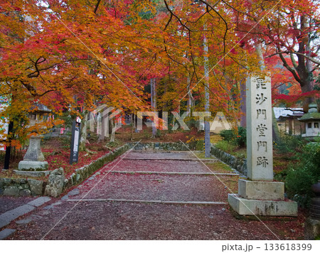 毘沙門堂門跡の紅葉　京都山科 133618399