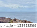 海に突き出した岩場と水平線の風景 133618599