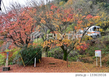 紅葉した中山道 岩屋観音堂入口と高山本線 133619316