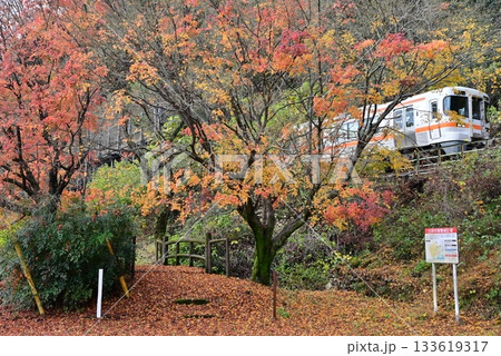紅葉した中山道 岩屋観音堂入口と高山本線 紅葉した中山道 岩屋観音堂入口と高山本線 133619317