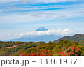 (静岡県伊豆市 修善寺自然公園から見た富士山と紅葉の風景 (静岡県伊豆市 修善寺自然公園から見た富士山と紅葉の風景 133619371