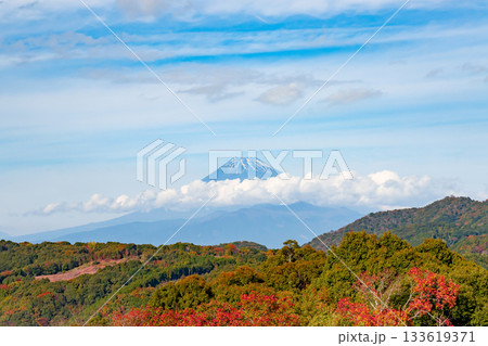 (静岡県伊豆市 修善寺自然公園から見た富士山と紅葉の風景 (静岡県伊豆市 修善寺自然公園から見た富士山と紅葉の風景 133619371
