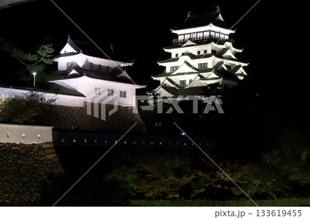 夜の福山城本丸(広島県福山市) 夜の福山城本丸(広島県福山市) 133619455
