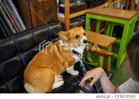 旅行 観光の写真 旅行 観光の写真 133619563