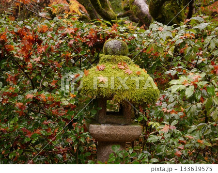 苔の生えた石灯籠と落葉 苔の生えた石灯籠と落葉 133619575