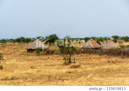 A tranquil serengeti landscape A tranquil serengeti landscape 133619813