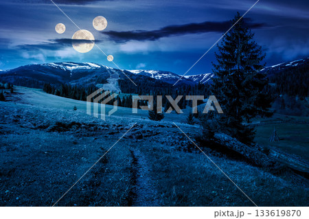 beautiful spring weather in mountains at night. spruce trees on a grassy meadow in full moon light. distant mountain ridge with snowy tops. backdrop for fiction art or mystery concepts 133619870