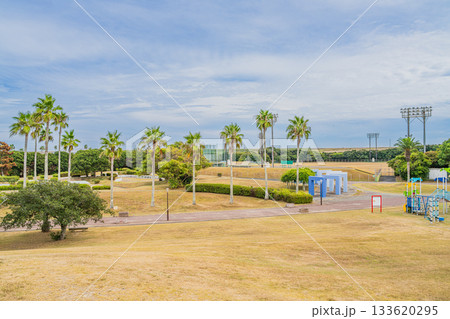磐田市竜洋海洋公園の風景(静岡県) 磐田市竜洋海洋公園の風景(静岡県) 133620295