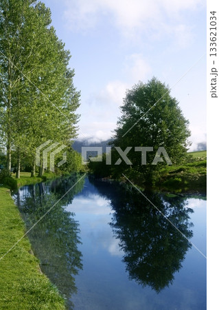 Blue river reflexion in a forest 133621034