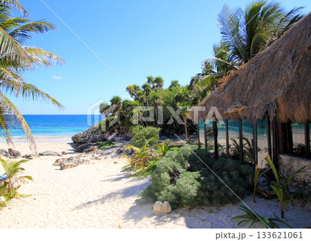 coconut palm trees palapa hut beach 133621061