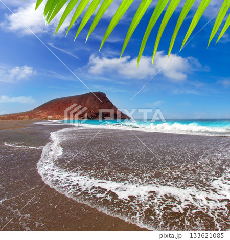 Beach Playa de la Tejita in Tenerife 133621085